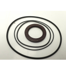 VITON-DICHTUNGSSATZ FÜR F12-040/060