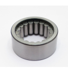 A10VG45/10 REAR BEARING