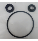 ROLLSTAR AM110/G331 SEAL KIT