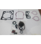 KIT DE SELLO COMPLETO SERIE 42P28