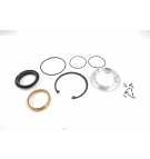 КОМПЛЕКТ УПЛОТНЕНИЯ ВАЛА SPV2 / SMF2 334cc