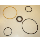20V BUNA SEAL KIT  497125N