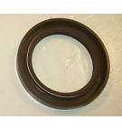 25/2520V/VQ VITON SECONDARY SEAL