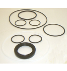 35M MOTOR BUNA SEAL KIT