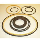 4525V VITON SEAL KIT 919345N