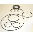 45M MOTOR BUNA SEAL KIT