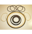 45VQ PUMP VITON SEAL KIT   920027N