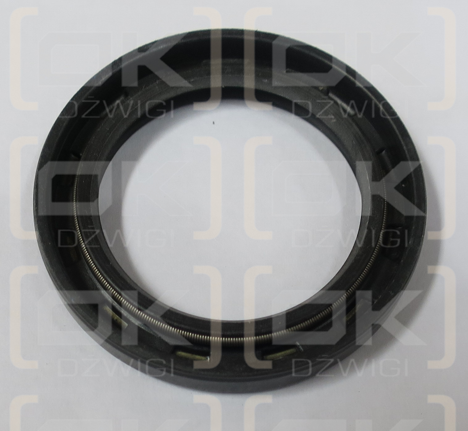 T6CCZ SHAFT SEAL