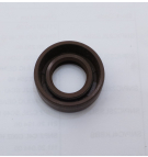 V10/VTM42 ВИТОНОВОЕ УПЛОТНЕНИЕ ВАЛА 388205N