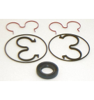 HIDROIRMA AP2 SERIES SEAL KIT