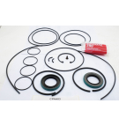 10057 standard Buna CPA seal kit