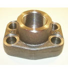 3/4 3000 SERIES FLANGE 3/4 BSP