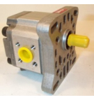 P1BAN1002CL20-C01 HYDRAULIKPUMPE