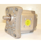 P1BAN1004CL20-C01 HYDRAULIKPUMPE