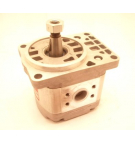 P1DBN2006HL10C02N HPI BOMBA