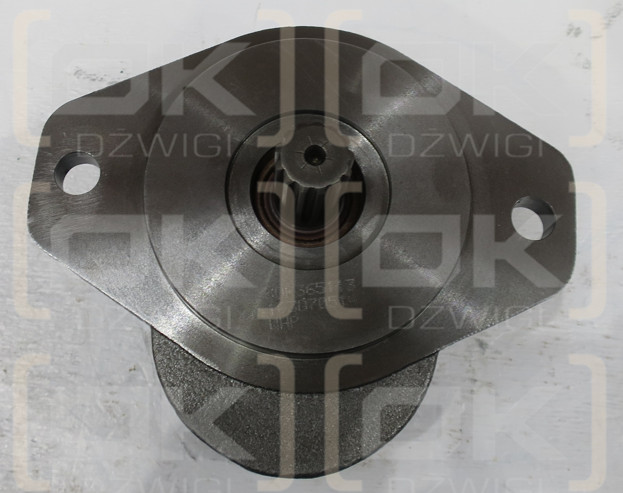 31.8CC/REV SINGLE SAE B 13 TOOTH, S