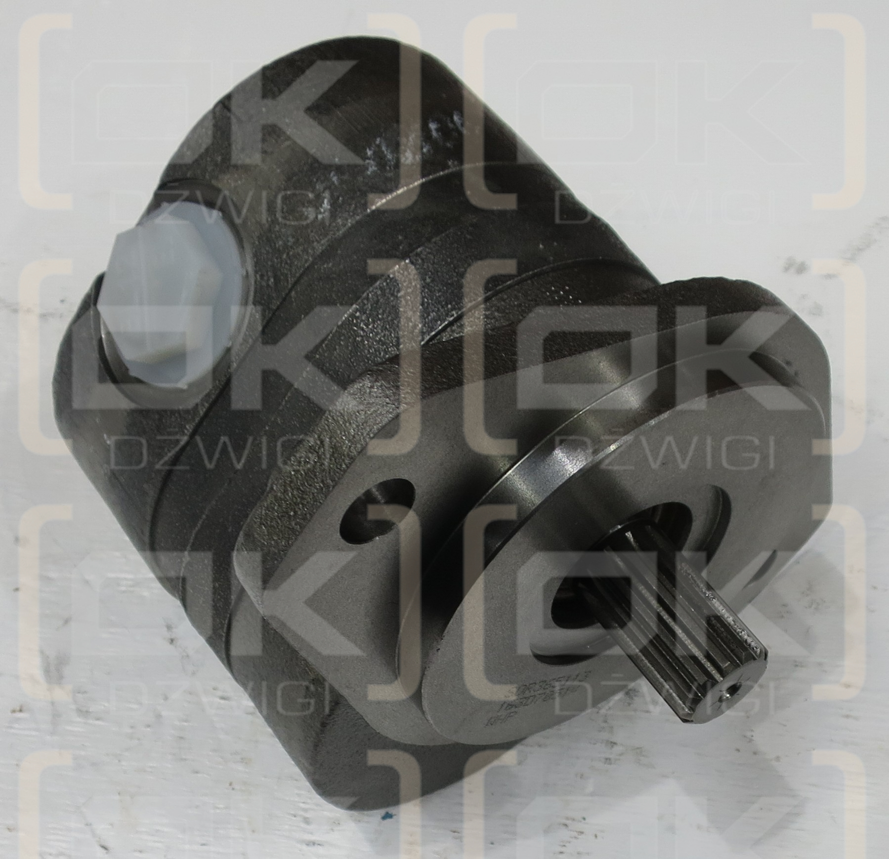 31.8CC/REV SINGLE SAE B 13 TOOTH, S