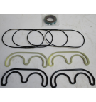 DICHTUNGSSATZ FÜR TANDEMPUMPE DER D-SERIE