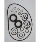 MA10V028 VITON SEAL KIT