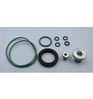 MA10V045 VITON SEAL KIT
