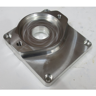 SAE A REAR ADA PLATE FOR R4 AC**