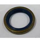 MOWER MOTOR OUTRIGGER RETAINER R2