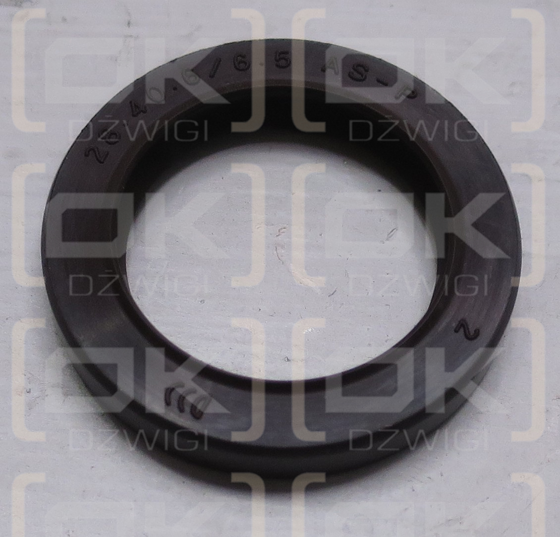 STANDARD VITON SHAFT SEAL