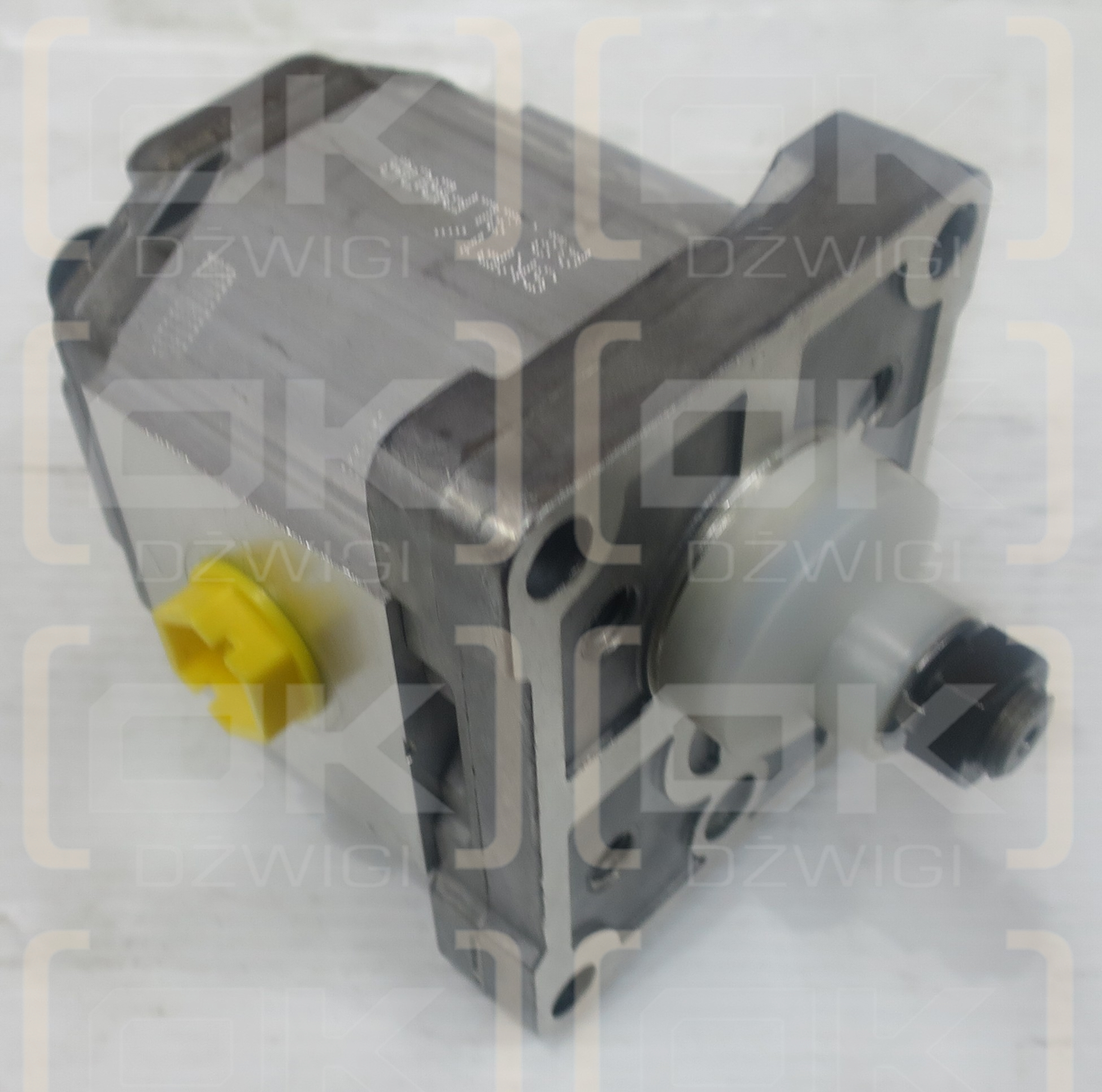 SKP1 2.2 S CI02 /