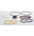 SNM2L (VERSION 2) MOTOR SEAL KIT