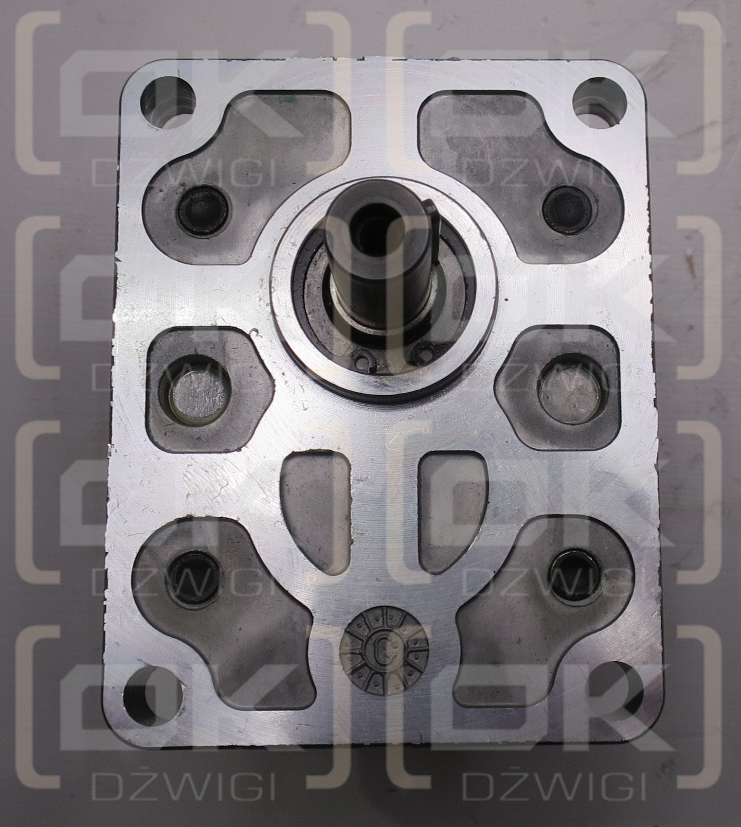 SNM2 19L PXOB HYDRAULIC GEAR MOTOR