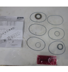 MOTORDICHTUNGSSATZ DER TRW TGK-SERIE