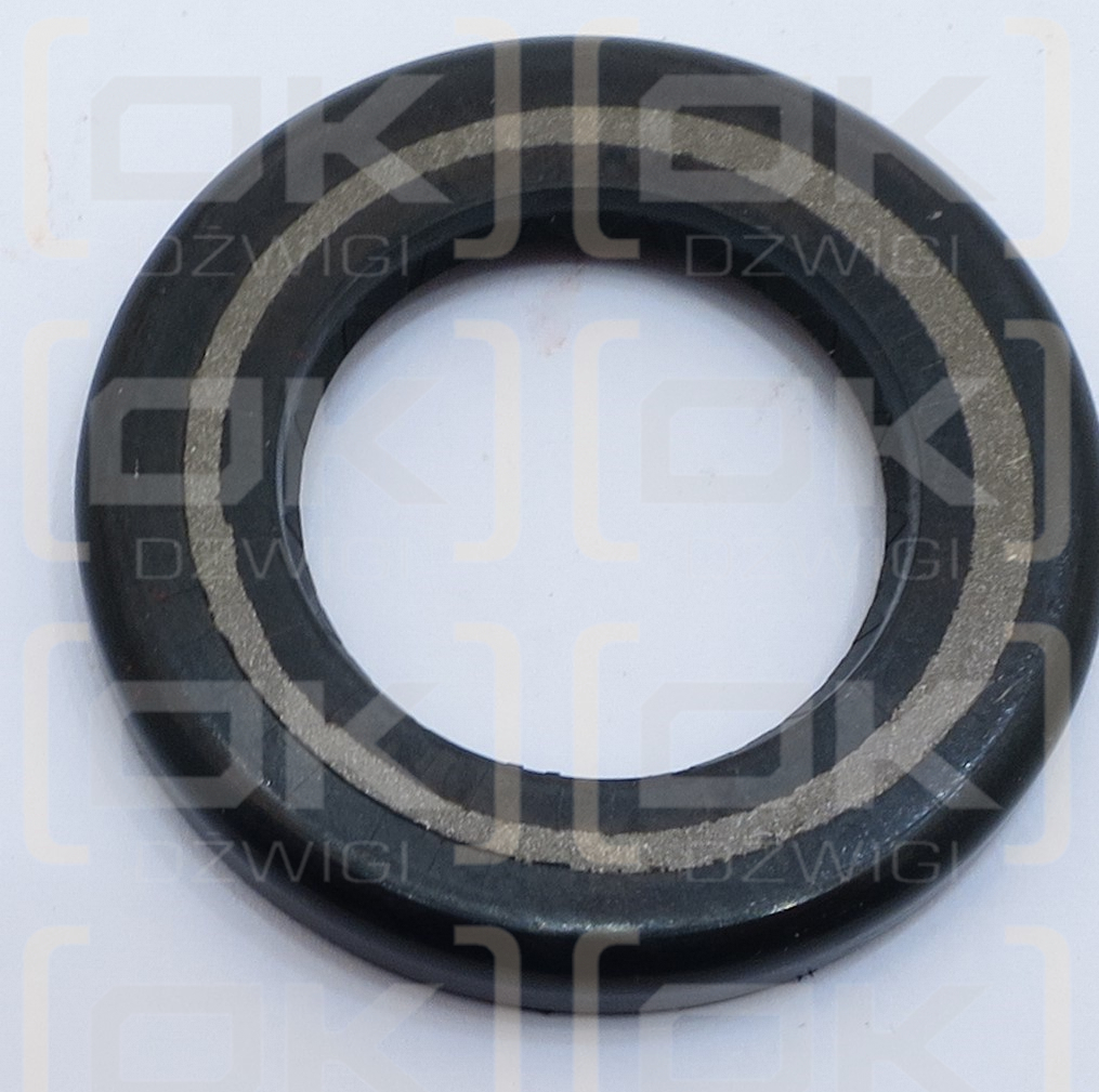 Shaft seal 28.56x48x6