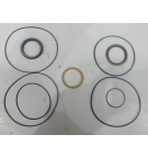 IMPRO 505/506 SERIES SEAL KIT