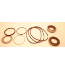 WEISSER MOTORDICHTUNGSSATZ DER RS-SERIE