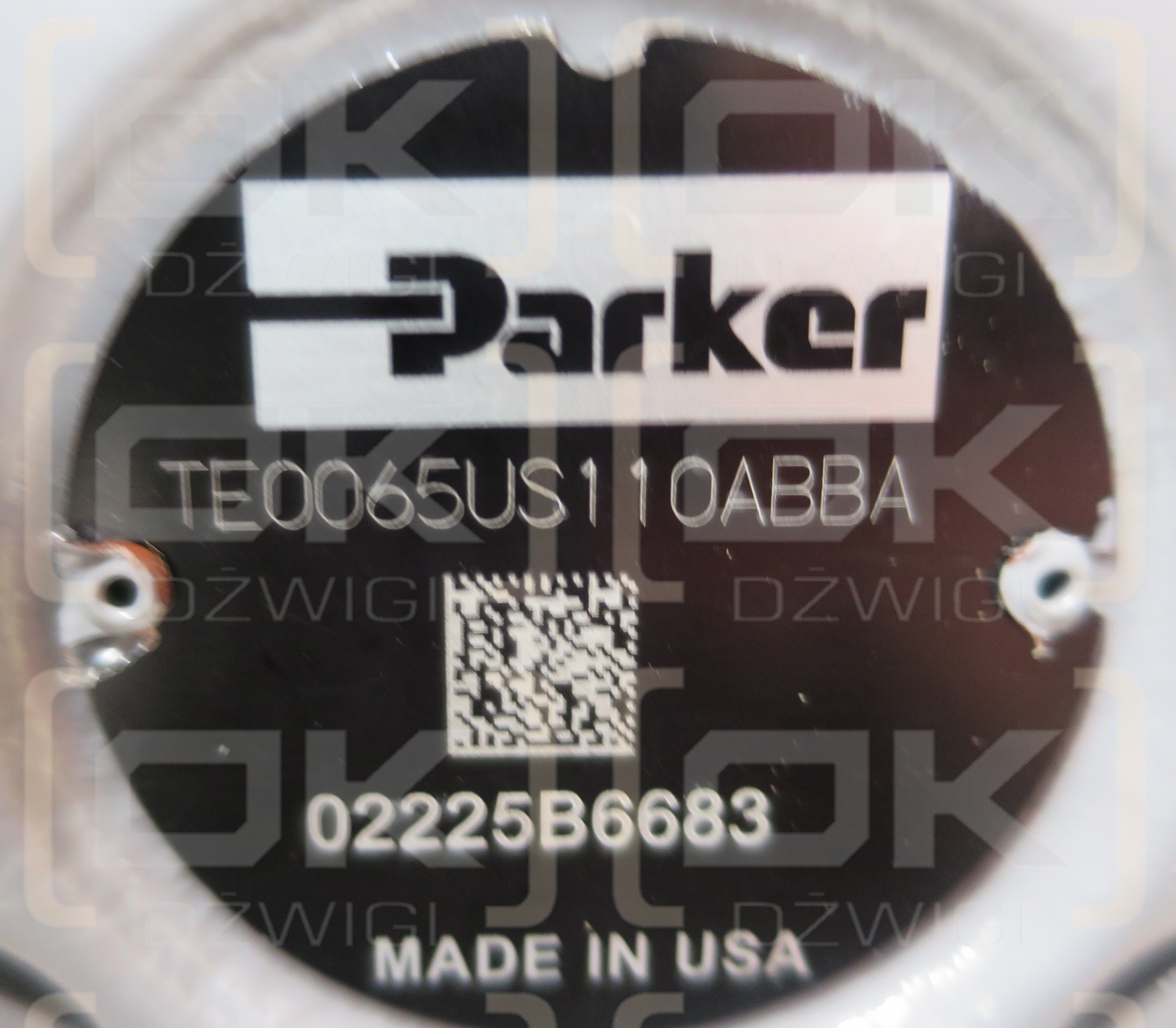 TE0065US110ABBA ROSS