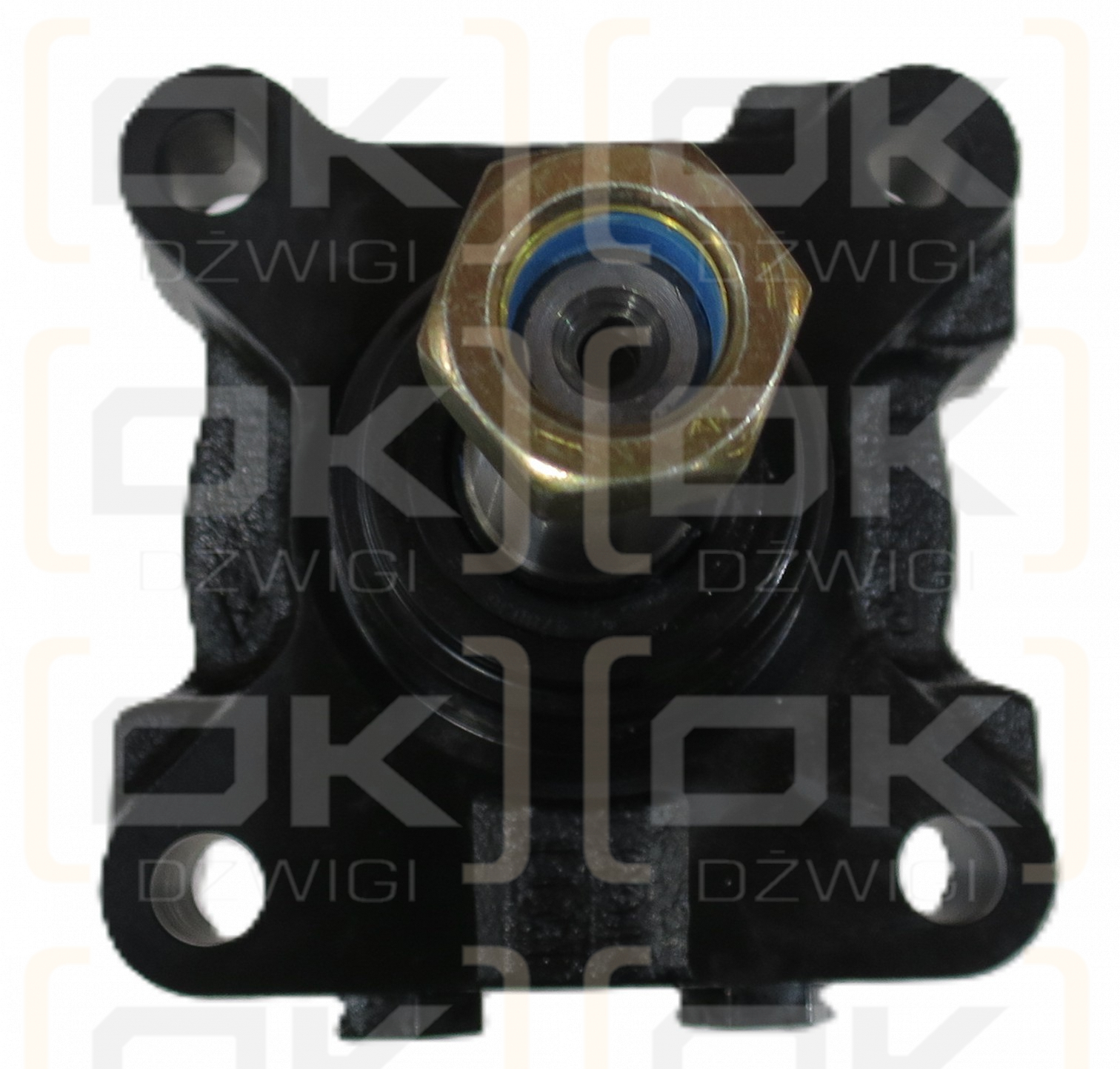 TE0195US250AAMU PARKER