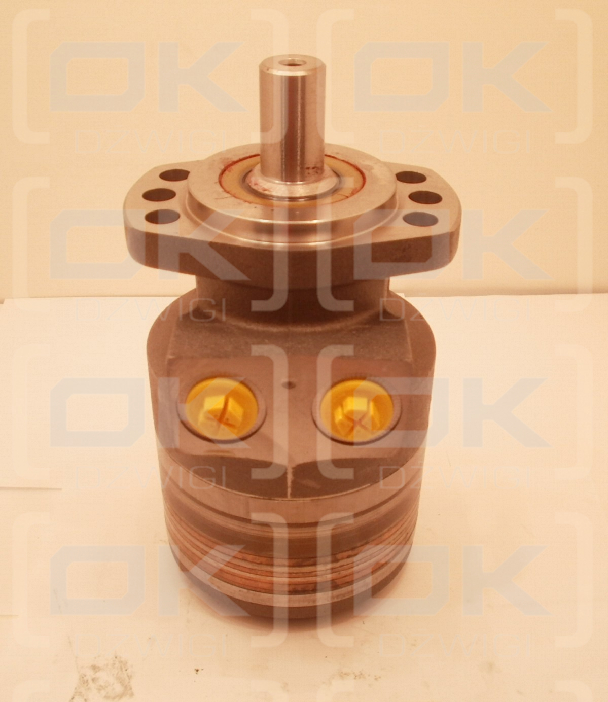 Motor hidráulico Parker TF0170EW260AAAB