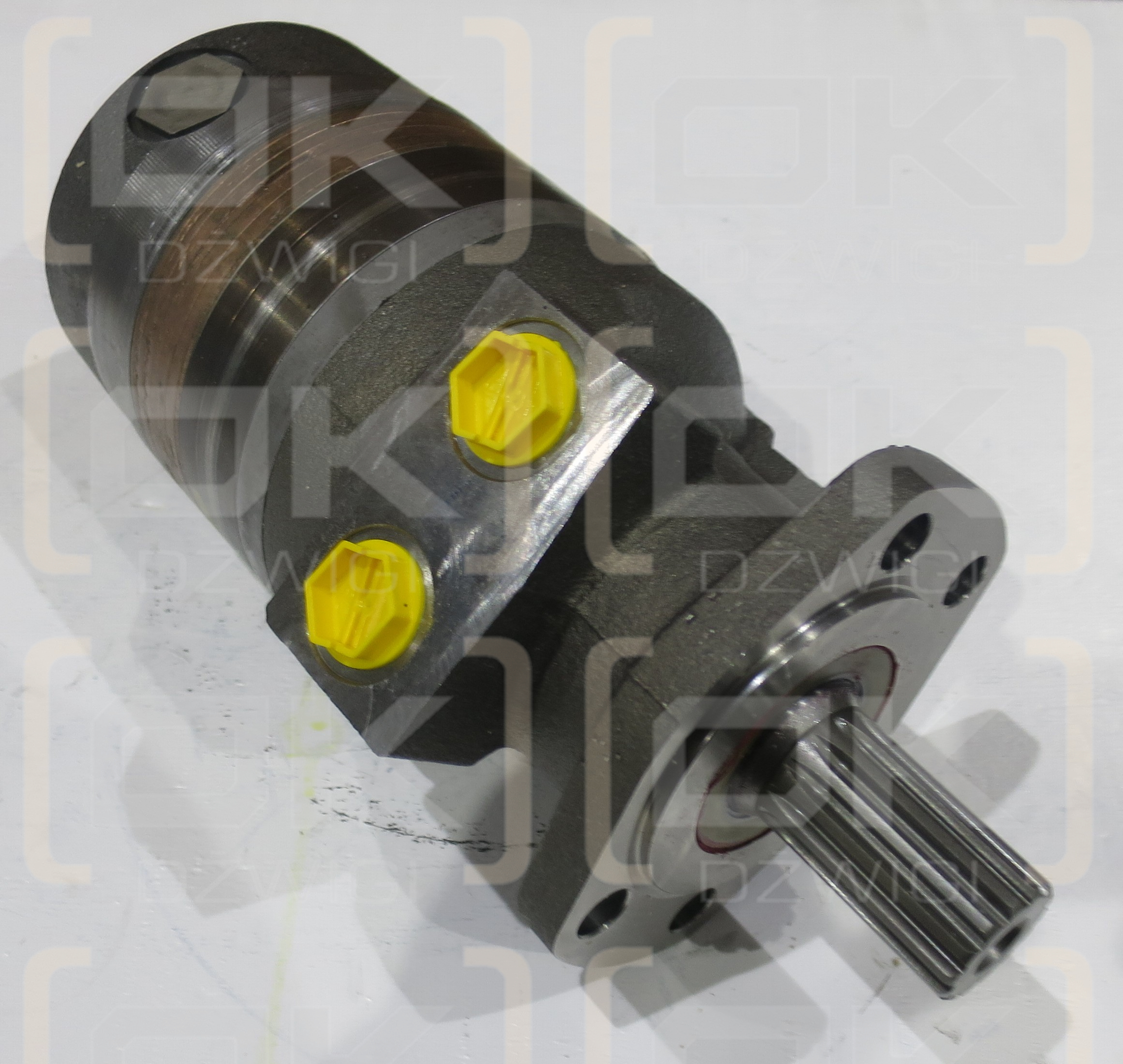 Parker TG0240MW441BBCG Hydraulic Motor