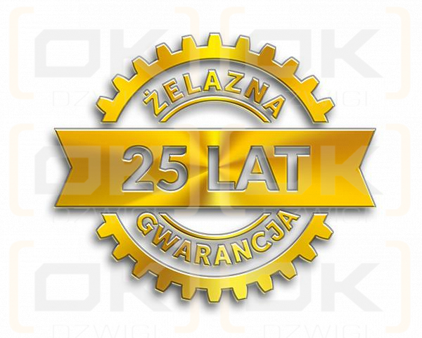 Klucz T ze spinnerem TORX T25 Waryński