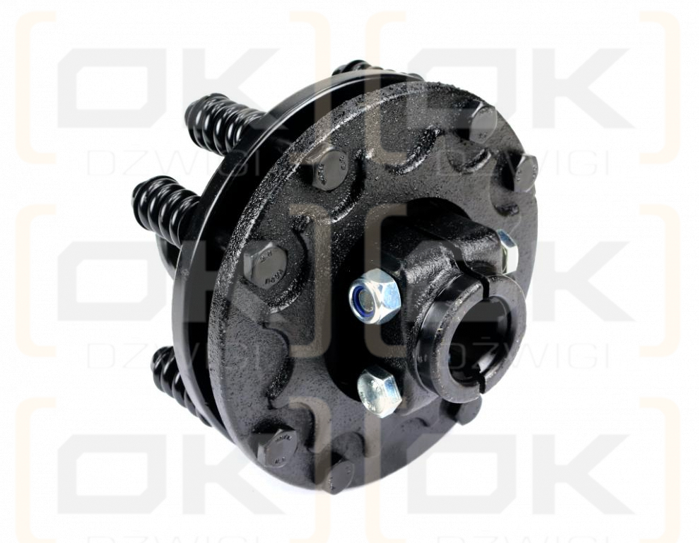 Kupplung, Reibwelle 1200Nm Serie 6R 1 3/4 - Z6, Waryński