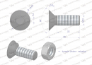 Śruba kpl. płużna dwunoskowa większy łeb M10x30 mm kl.10.9 Waryński ( sprzedawane po 25 )