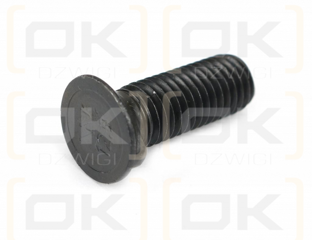 Śruba płużna dwunoskowa M10x30 mm kl.10.9 zastosowanie Gruber Waryński ( sprzedawane po 10kg )