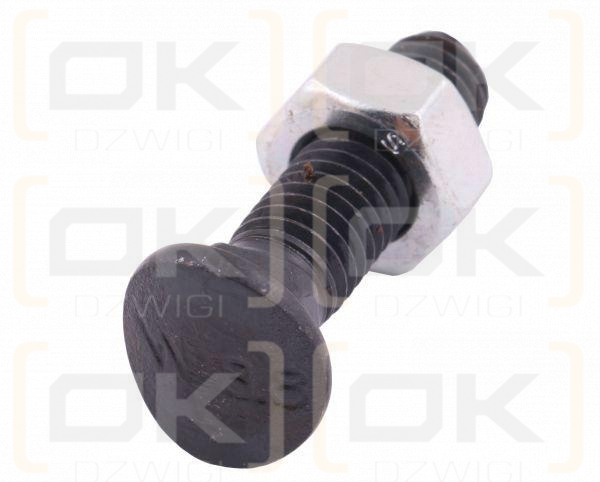 Śruba kpl. redliczkowa półokrągła M8x33 mm kl. 8.8 Waryński ( sprzedawane po 25 )
