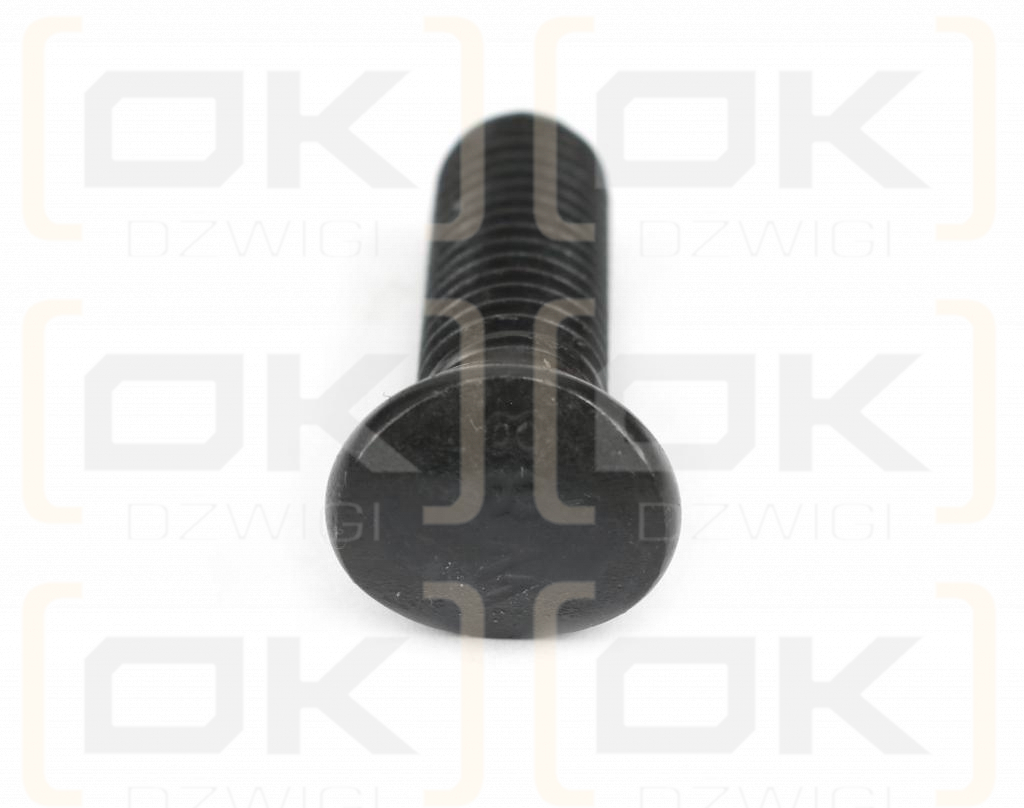 Śruba redliczkowa półokrągła M10x35 mm kl. 8.8 Waryński ( sprzedawane po 10kg )