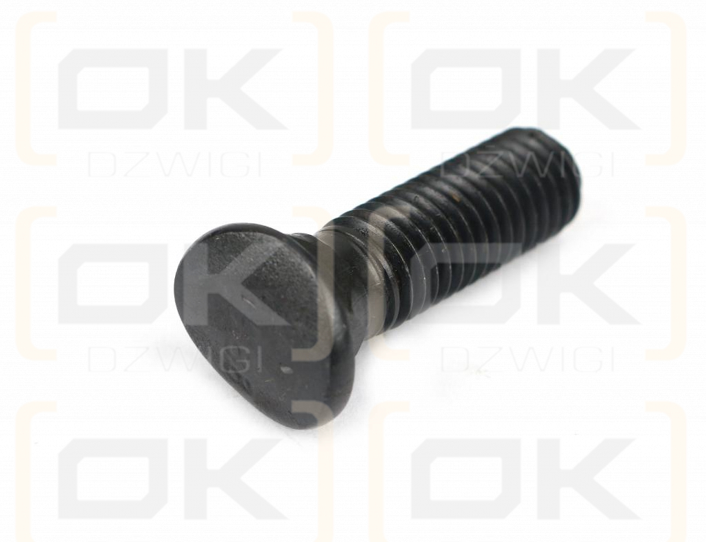 Śruba redliczkowa półokrągła M10x35 mm kl. 8.8 Waryński ( sprzedawane po 10kg )