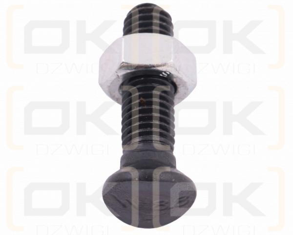 Śruba kpl. redliczkowa półokrągła M10x45 mm kl. 8.8 Waryński ( sprzedawane po 25 )