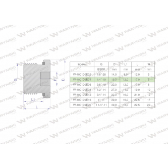 Korek hydrauliczny calowy (na imbus) 1/4