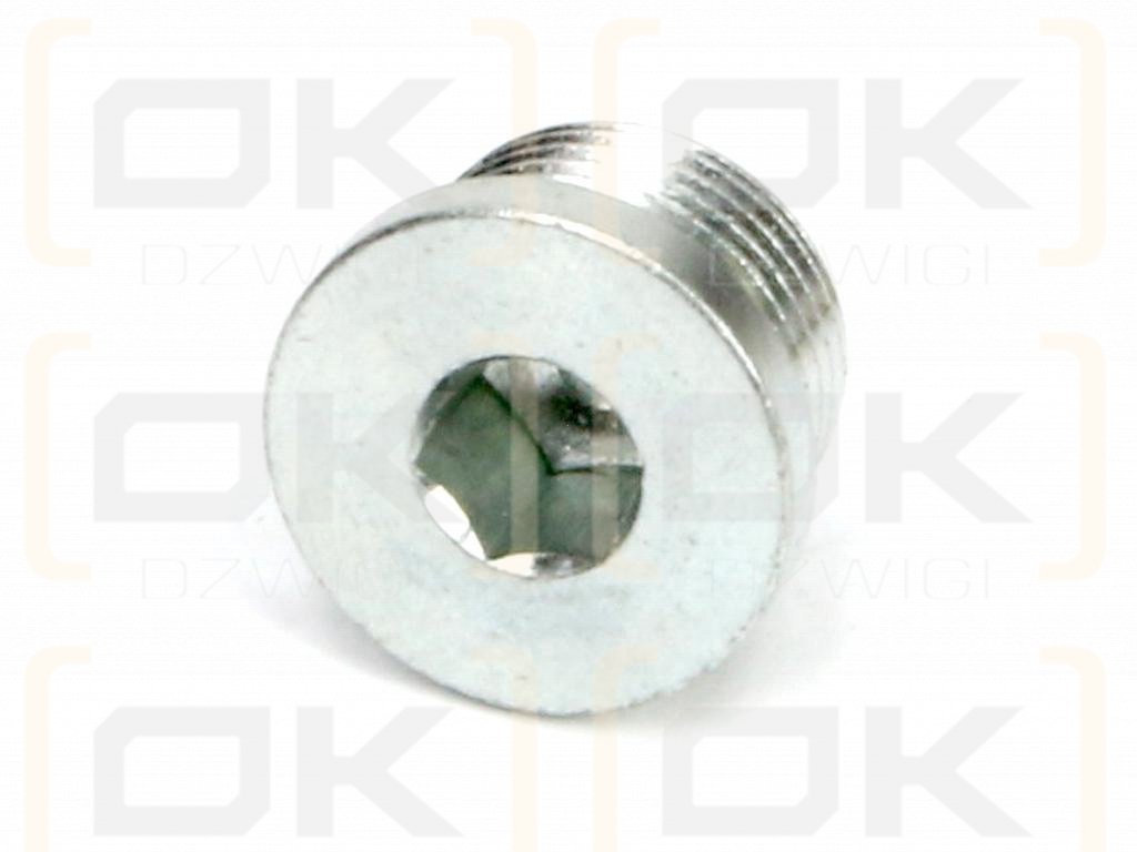 Korek hydrauliczny calowy (na imbus) 1/4