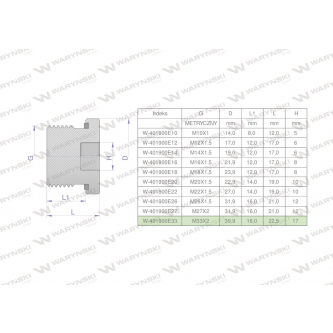 Korek hydrauliczny metryczny (na imbus) M33x2 ED Waryński ( sprzedawane po 2 )