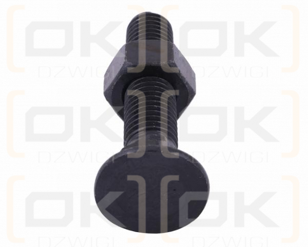 Śruba kpl. płużna podsadzana D 608 M10x70 mm kl.10.9 Waryński ( sprzedawane po 25 )